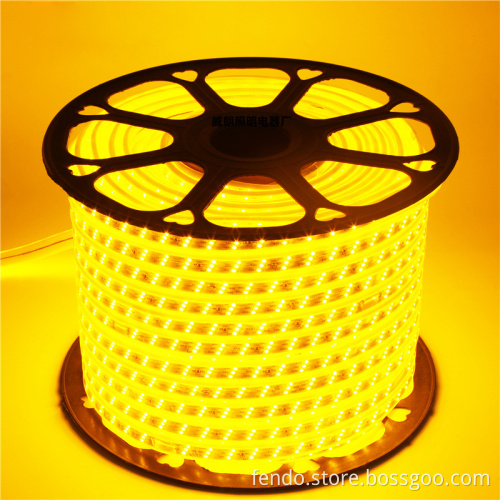 220V RGB 5050 LED Strip - Flexible, Waterproof IP67, APP Control Rope Light